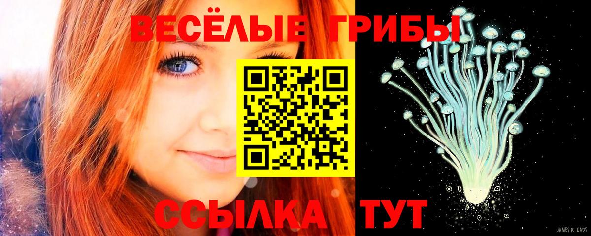 как найти наркотики  Галлюциногенные грибы GOLDEN TEACHER  Вход с VPN  Нальчик 