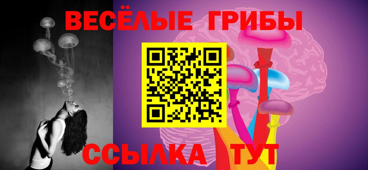 Галлюциногенные грибы GOLDEN TEACHER Нальчик